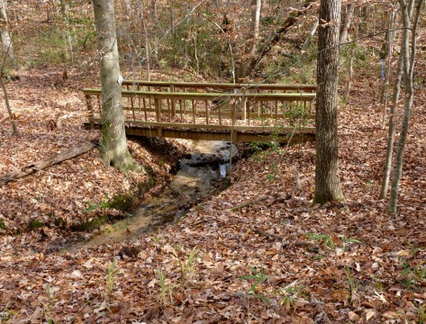 Friends of Congaree Swamp